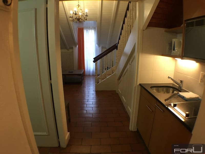 Diversi appartamenti arredati in residenza a Carouge (3)