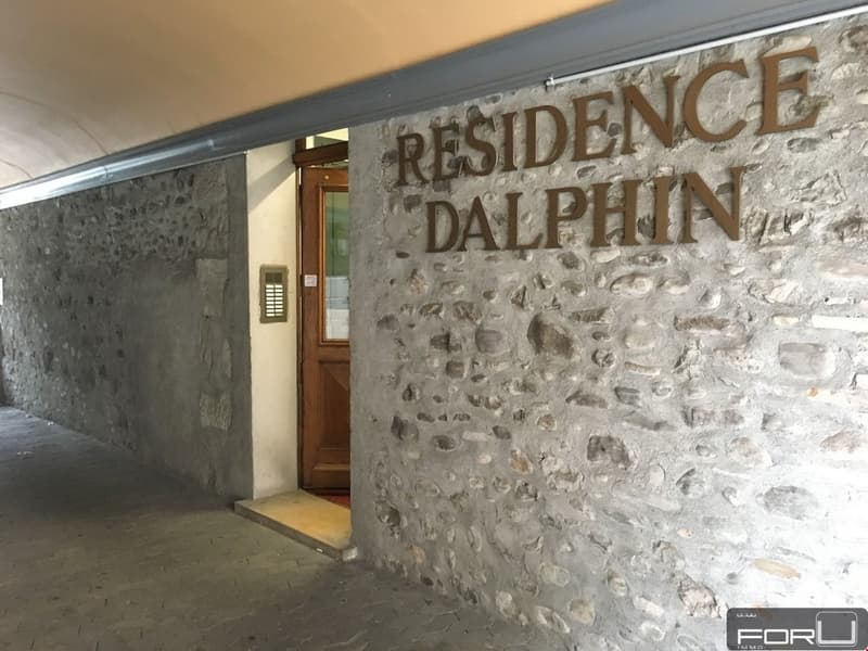 Diversi appartamenti arredati in residenza a Carouge (1)
