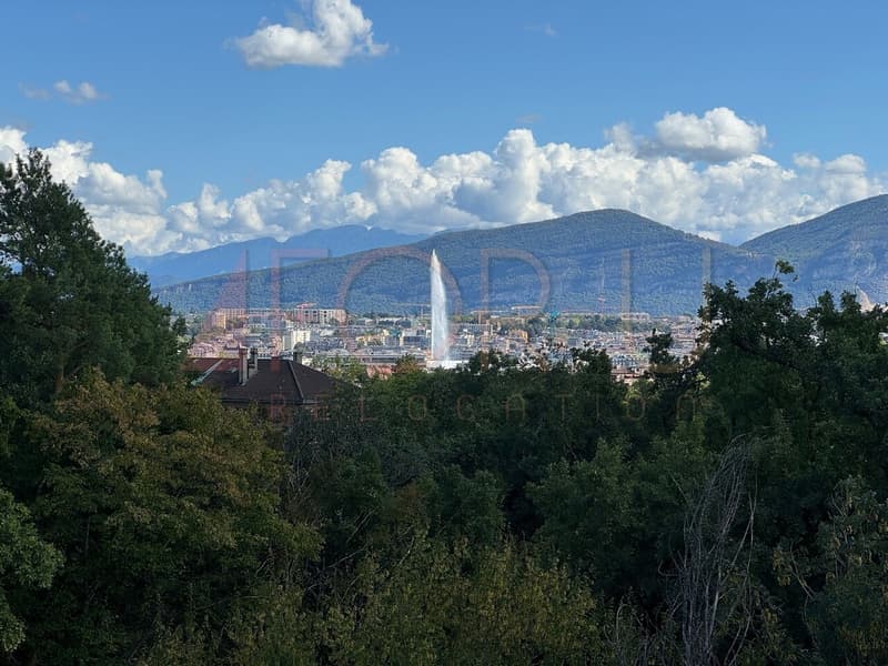 Superbe attique 6.5 pièces neuf avec 2 terrasses et vue près de l'ONU (1)