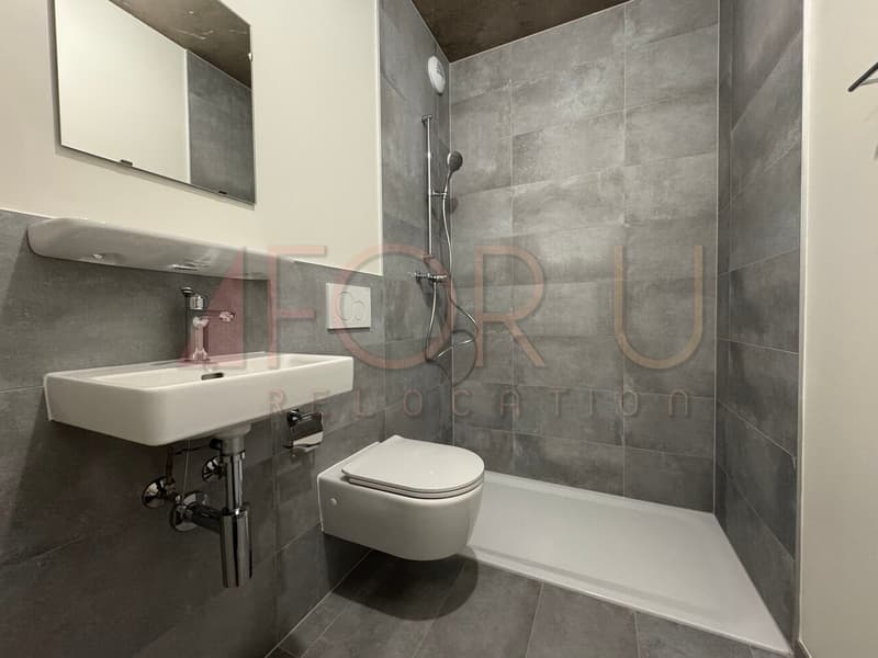 NEU - sehr schönes 5-Zimmer-Apartment in Carouge (12)