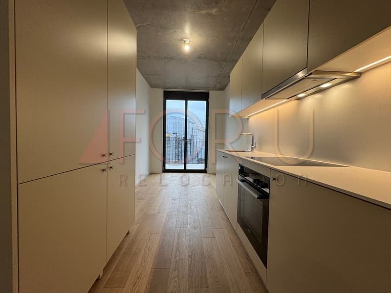 NEU - sehr schönes 5-Zimmer-Apartment in Carouge (5)
