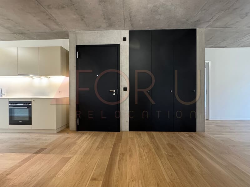 NEU - sehr schönes 5-Zimmer-Apartment in Carouge (2)