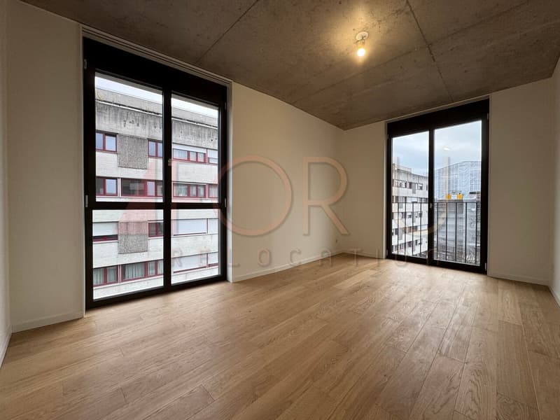 NEU - sehr schönes 5-Zimmer-Apartment in Carouge (7)