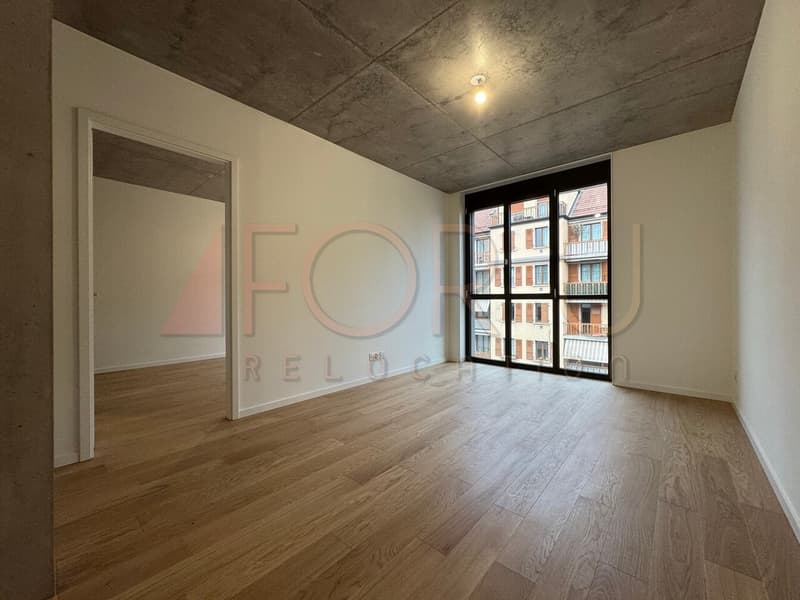 NEU - sehr schönes 5-Zimmer-Apartment in Carouge (8)