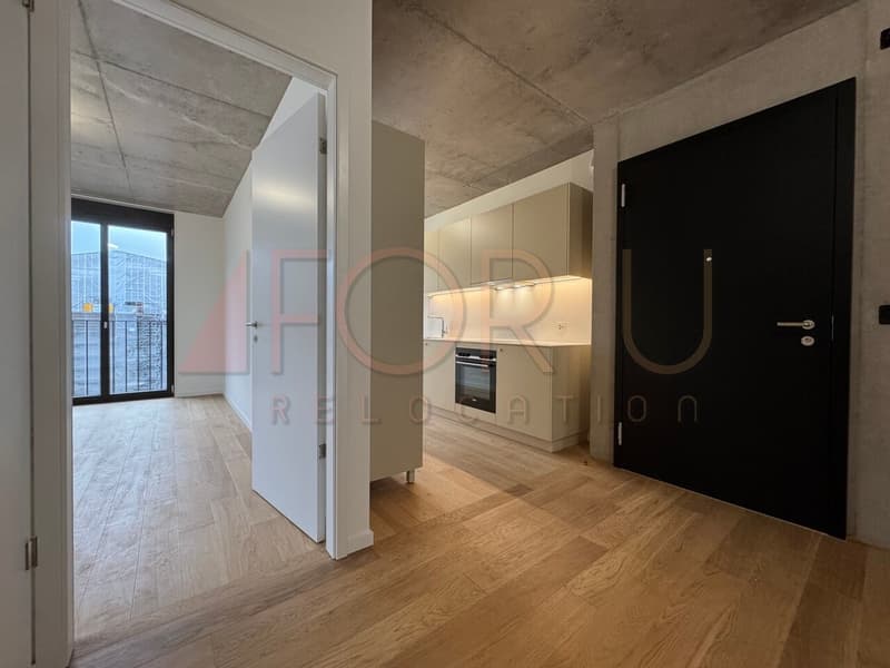 NEU - sehr schönes 5-Zimmer-Apartment in Carouge (3)