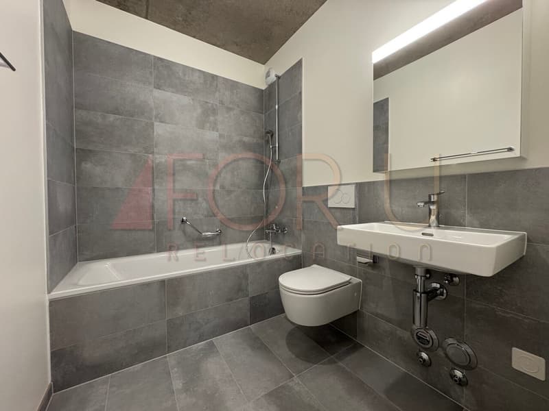 NEU - sehr schönes 5-Zimmer-Apartment in Carouge (11)
