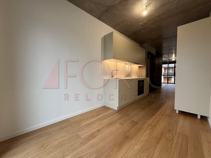 NEU - sehr schönes 5-Zimmer-Apartment in Carouge (6)