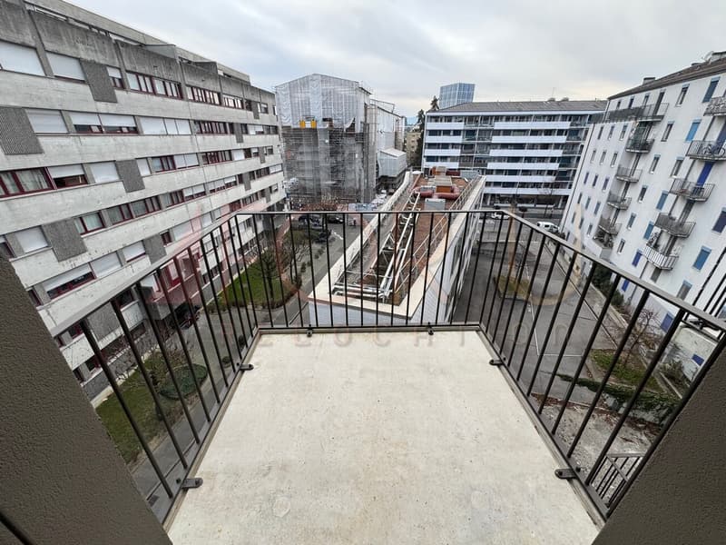 NEU - sehr schönes 5-Zimmer-Apartment in Carouge (10)