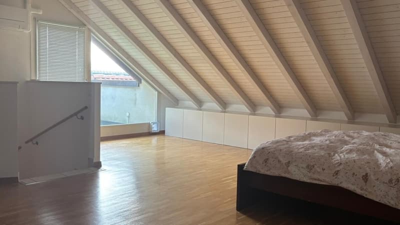 Unico, bello e grande triplex di 6.5 locali in attico a Plan-les-Ouates (10)