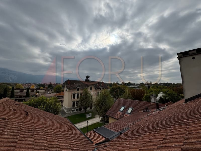 Unico, bello e grande triplex di 6.5 locali in attico a Plan-les-Ouates (13)