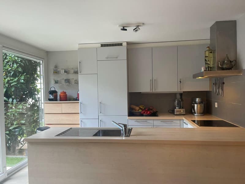 Unique - beautiful and large 5.5-room apartment with terraces in Pâquis (5)