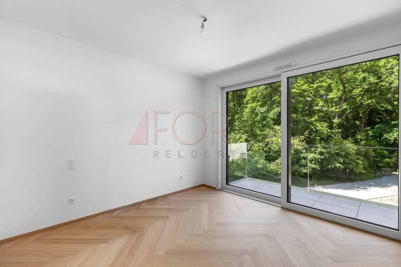 Superbe attique neuf de 4 pièces avec terrasse à Vessy (6)