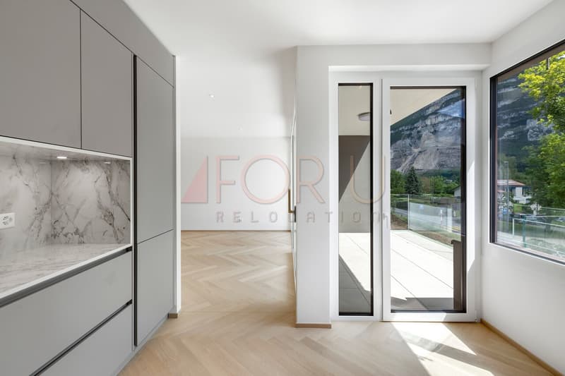Superbe attique neuf de 4 pièces avec terrasse à Vessy (4)