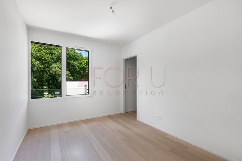 Superbe attique neuf de 4 pièces avec terrasse à Vessy (13)
