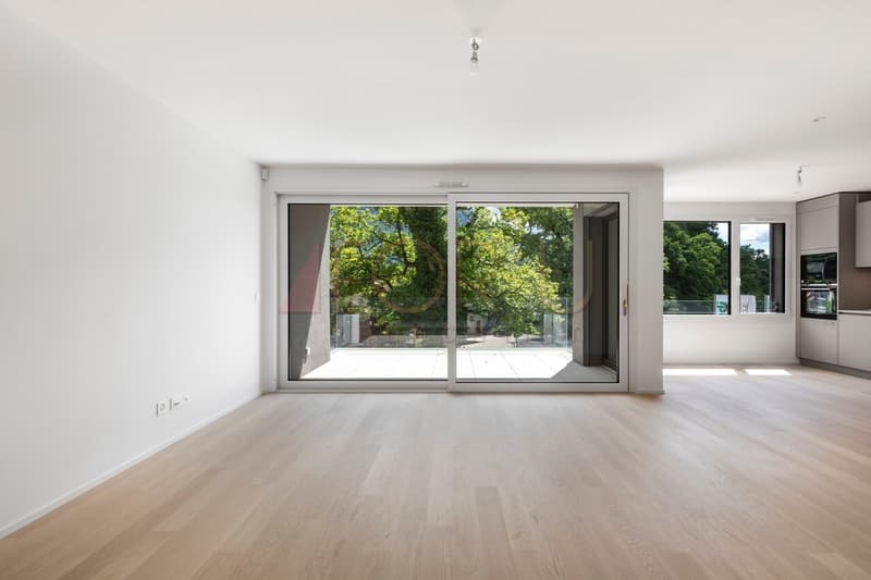 Superbe attique neuf de 4 pièces avec terrasse à Vessy (4)