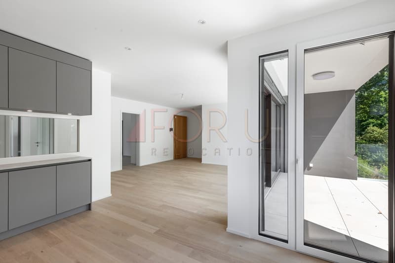 Superbe attique neuf de 4 pièces avec terrasse à Vessy (8)