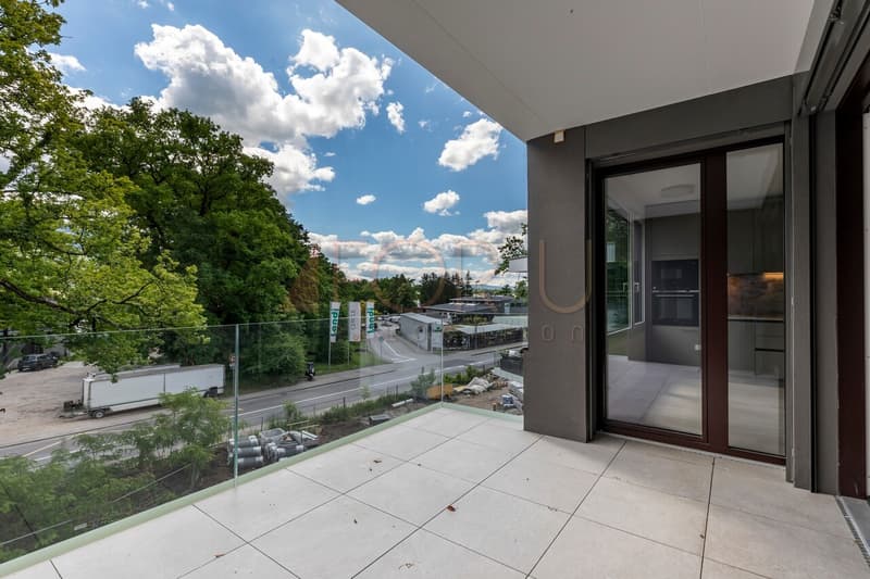 Superbe attique neuf de 4 pièces avec terrasse à Vessy (2)