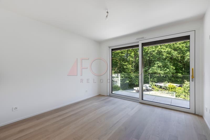 Superbe attique neuf de 4 pièces avec terrasse à Vessy (11)