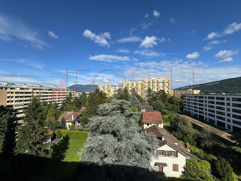 Attico rinfrescato di 4 locali con balcone senza vis-à-vis (Chêne-Bourg) (1)