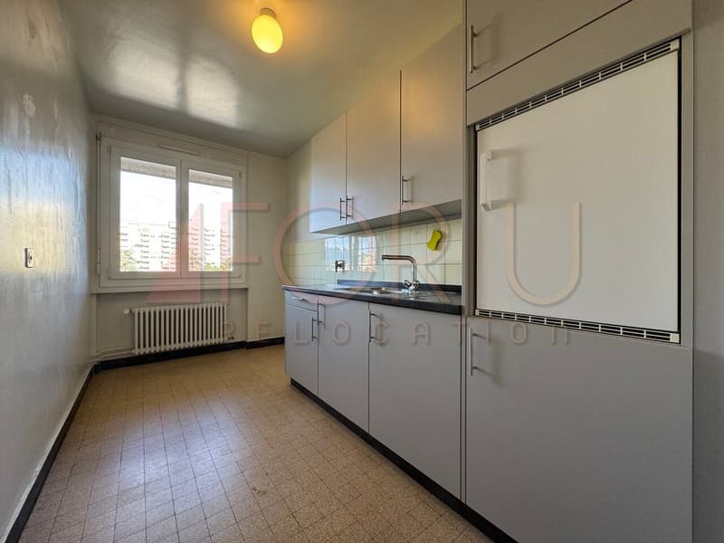 Attico rinfrescato di 4 locali con balcone senza vis-à-vis (Chêne-Bourg) (4)