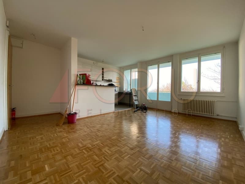 Appartamento ristrutturato di 3.5 locali con balcone nel parco di Vermont (2)