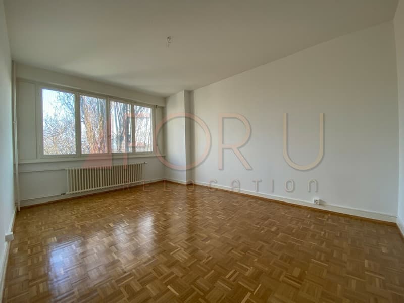 Appartamento ristrutturato di 3.5 locali con balcone nel parco di Vermont (4)