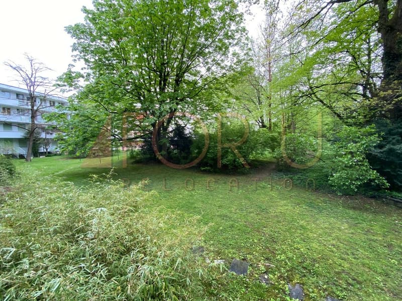 Appartamento ristrutturato di 3.5 locali con balcone nel parco di Vermont (1)