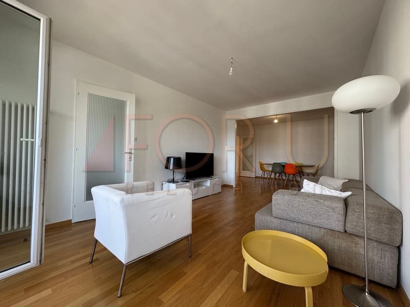 Très bel appartement rénové de 4 pièces avec balcon et bien localisé (2)