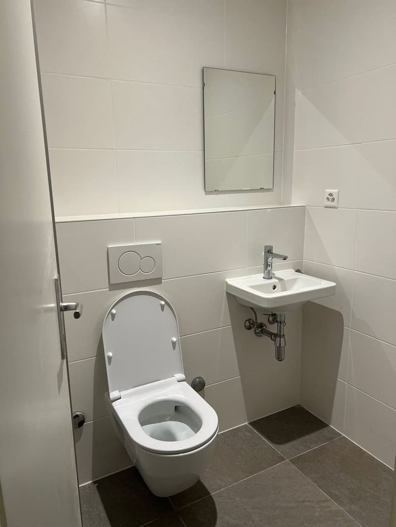 Bellissimo appartamento rinnovato di 4 locali con balcone e ben posizionato (10)