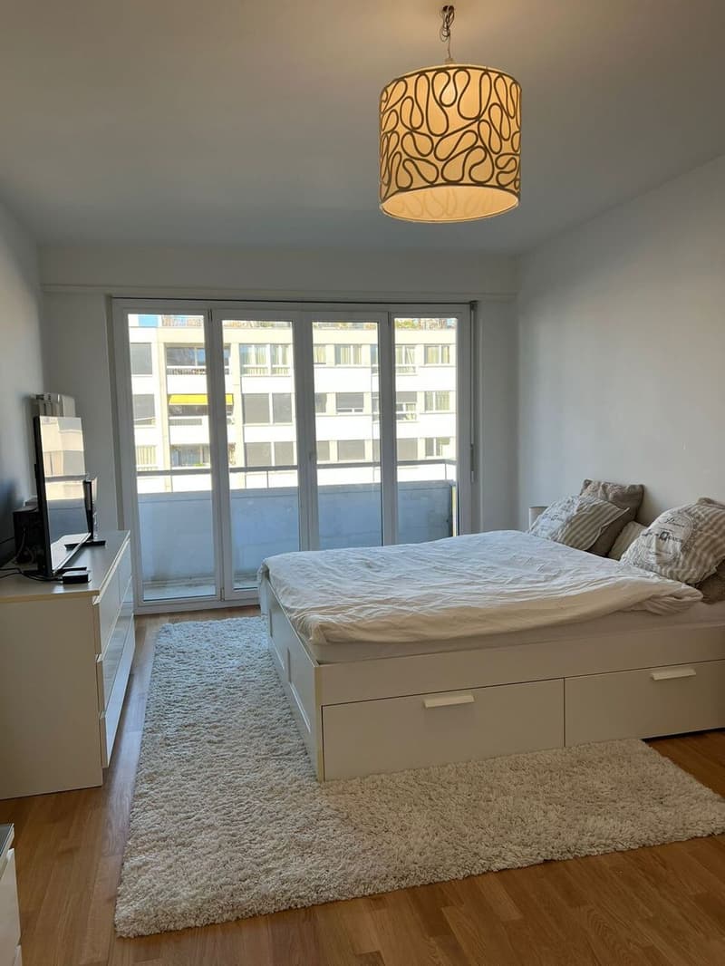 Bellissimo appartamento rinnovato di 4 locali con balcone e ben posizionato (4)