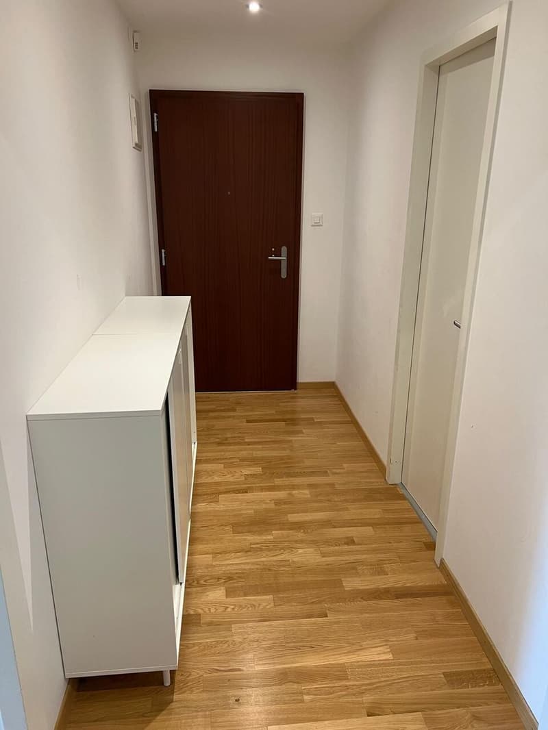 Bellissimo appartamento rinnovato di 4 locali con balcone e ben posizionato (7)
