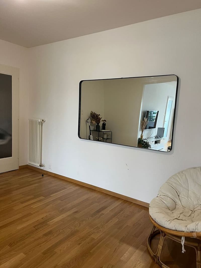 Bellissimo appartamento rinnovato di 4 locali con balcone e ben posizionato (3)