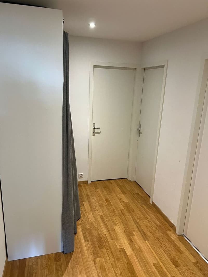 Bellissimo appartamento rinnovato di 4 locali con balcone e ben posizionato (8)