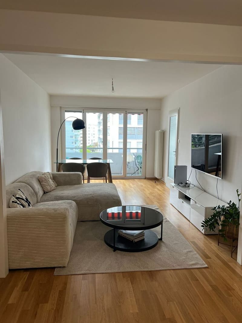 Bellissimo appartamento rinnovato di 4 locali con balcone e ben posizionato (1)