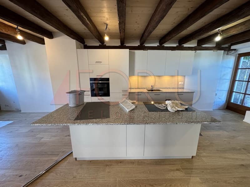 Antica fattoria trasformata in un triplex di 6,5 locali ad Avusy (3)