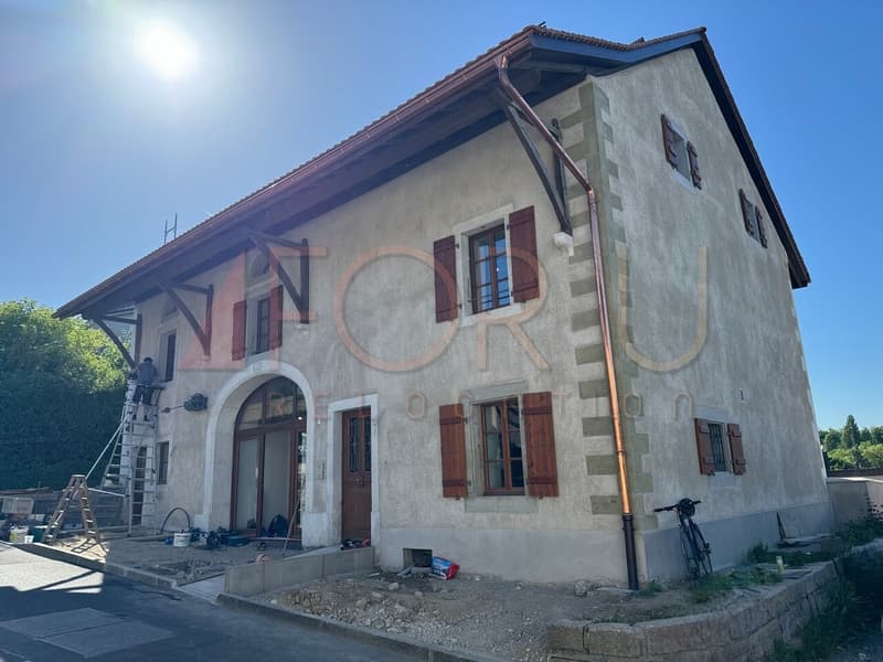 Antica fattoria trasformata in un triplex di 6,5 locali ad Avusy (1)