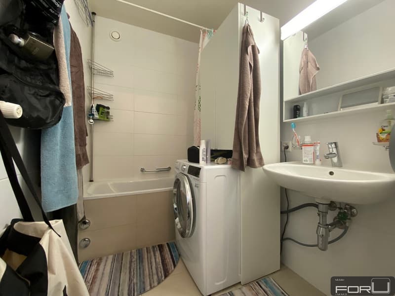 Wohnung mit 3.5 Zimmern und Balkon im Vermont-Park renoviert (7)