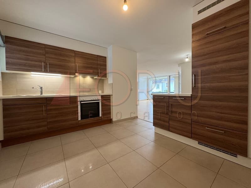 Bello duplex in attico di 7.5 locali ai Pâquis (3)