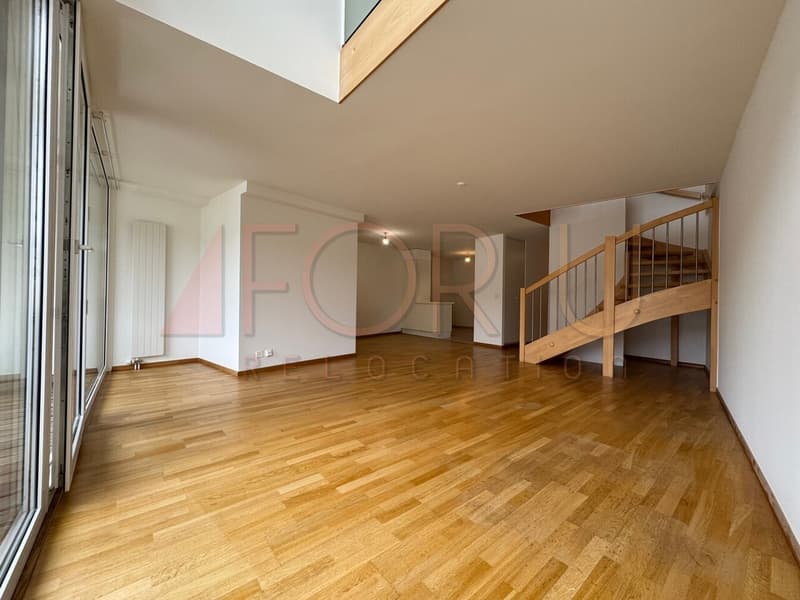 Bello duplex in attico di 7.5 locali ai Pâquis (2)