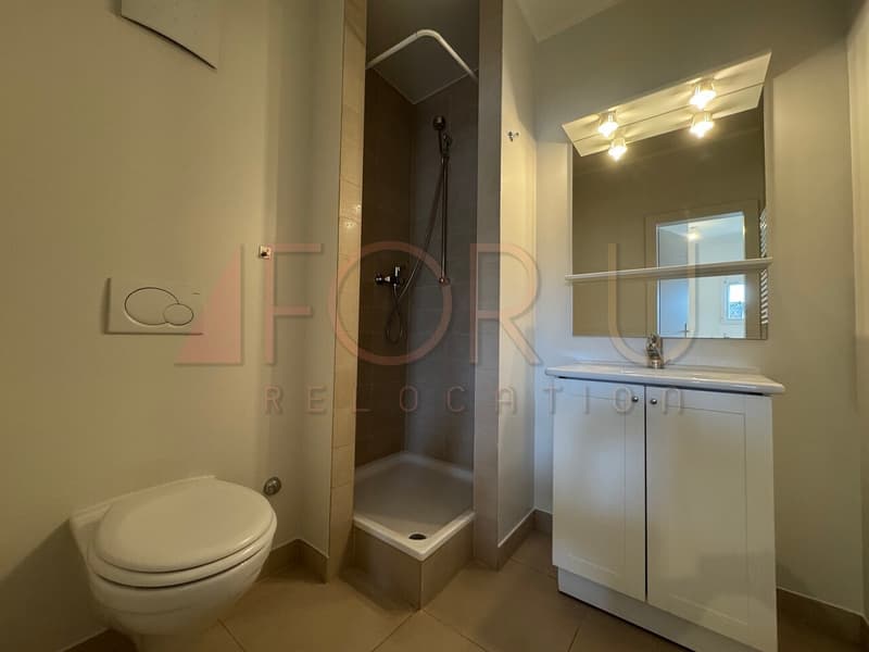Bello duplex in attico di 7.5 locali ai Pâquis (11)