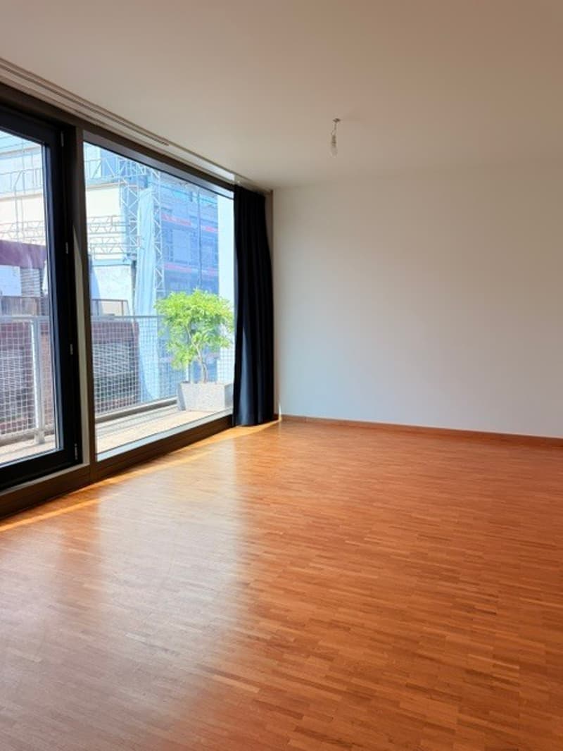 RARE EAUX VIVES 6P DUPLEX ATTIQUE TERRASSE (5)