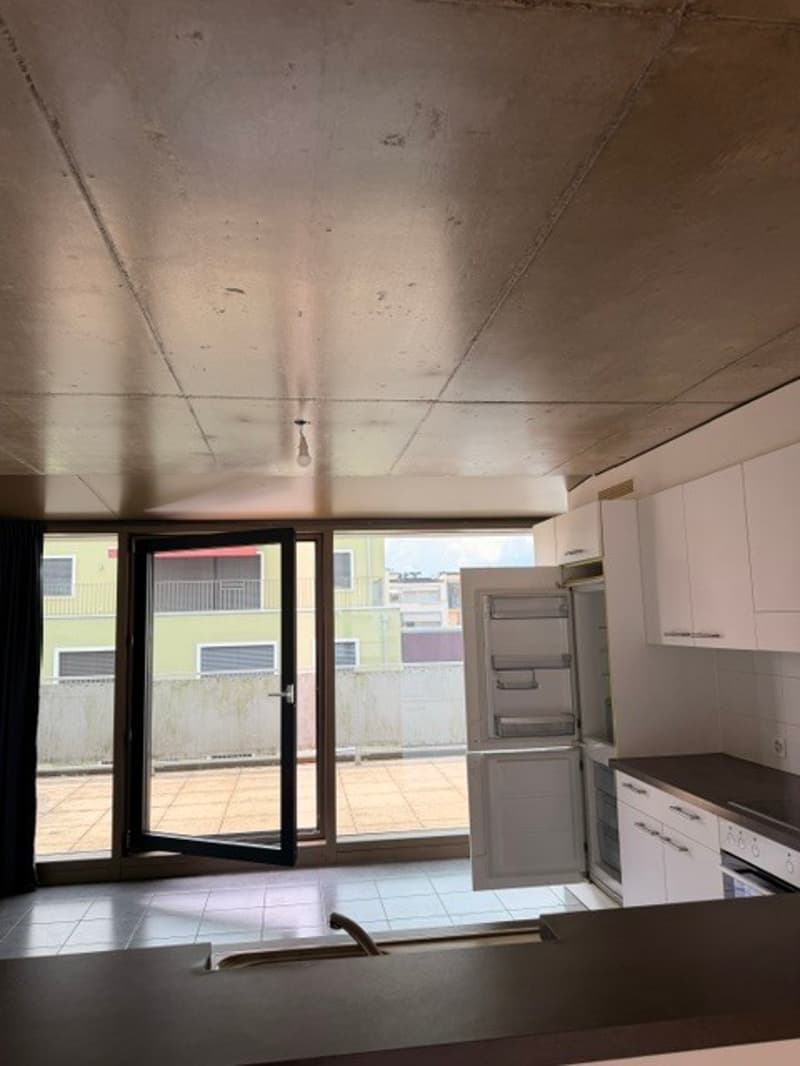 RARE EAUX VIVES 6P DUPLEX ATTIQUE TERRASSE (3)