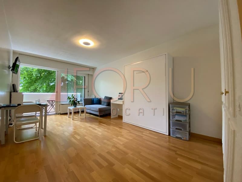 Beau studio au calme avec balcon et piscine à Cologny (2)