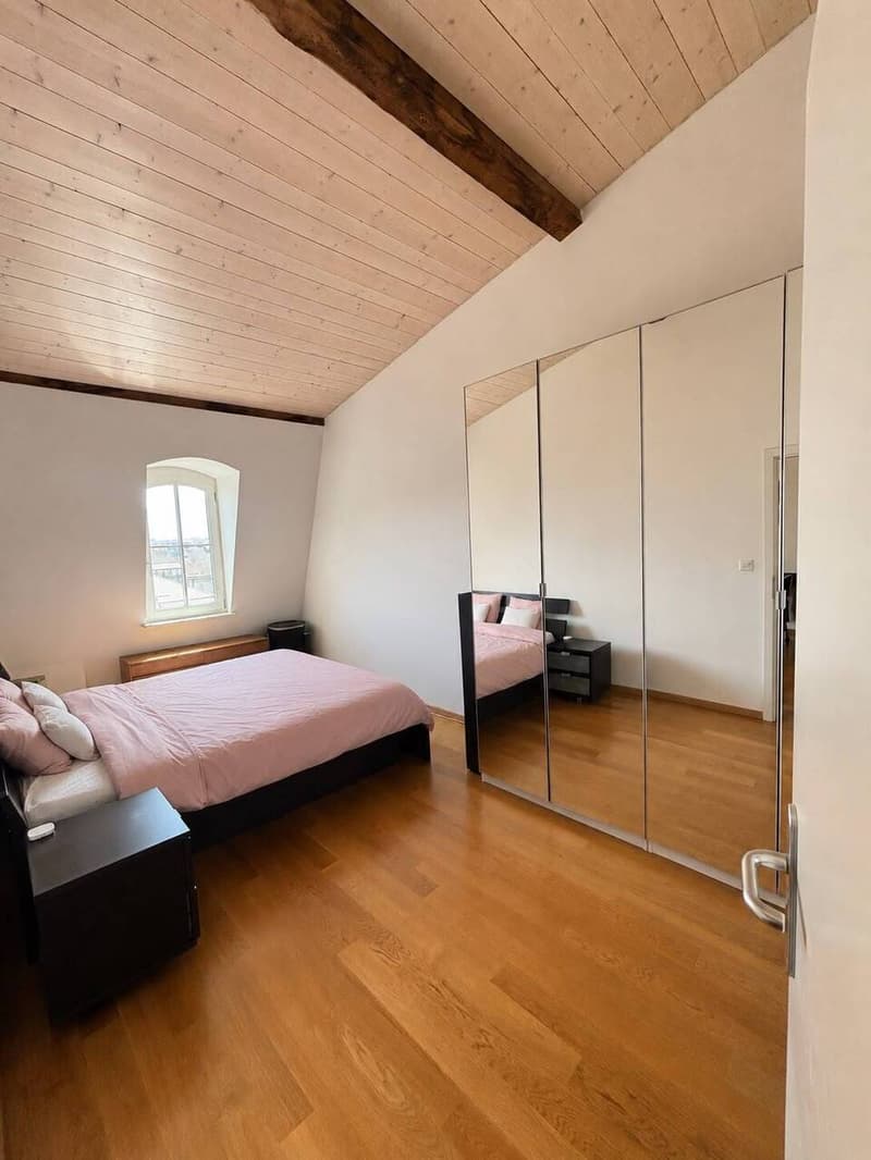 Very beautiful 3-room apartment in old style in the city center (2)