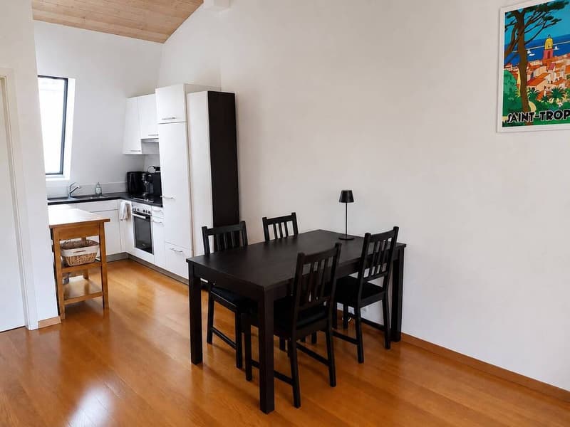 Very beautiful 3-room apartment in old style in the city center (6)