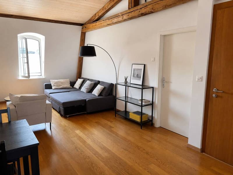Very beautiful 3-room apartment in old style in the city center (5)