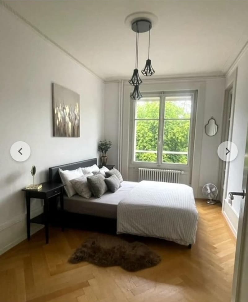 Bell'appartamento di 5 locali con balcone vicino al centro (Malagnou) (5)
