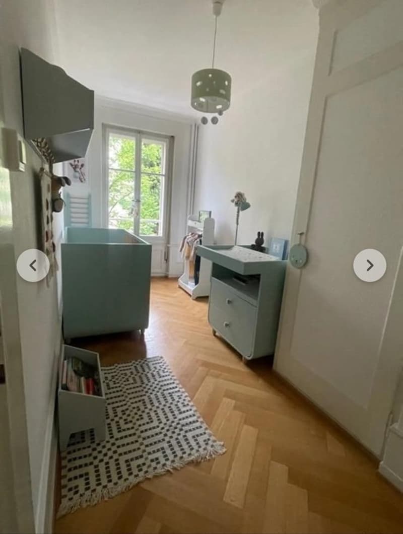 Bell'appartamento di 5 locali con balcone vicino al centro (Malagnou) (6)