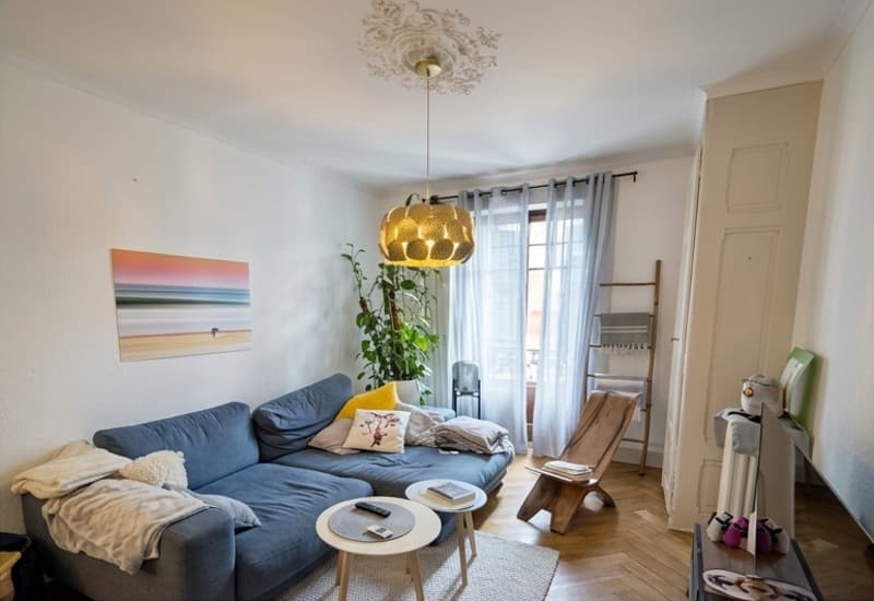 Bello appartamento di 3 locali con balcone vicino al parco Eaux-Vives (1)