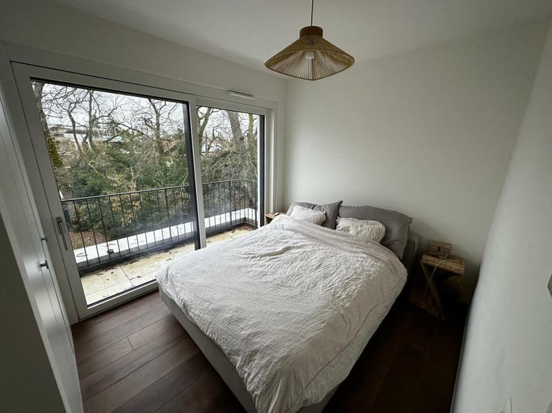 Very beautiful new attic apartment with 4 rooms and balcony in Chêne-Bougeries (3)